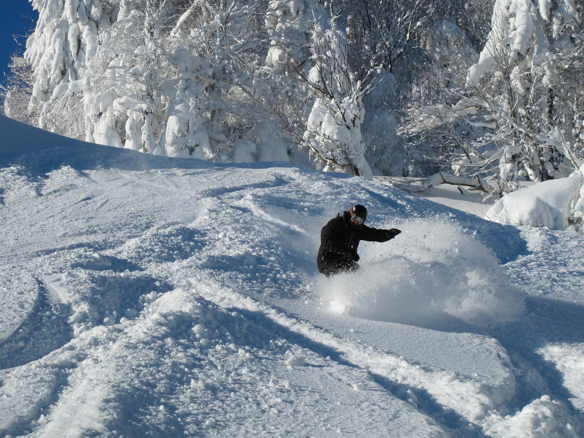 Inn At Snowshoe Εξωτερικό φωτογραφία